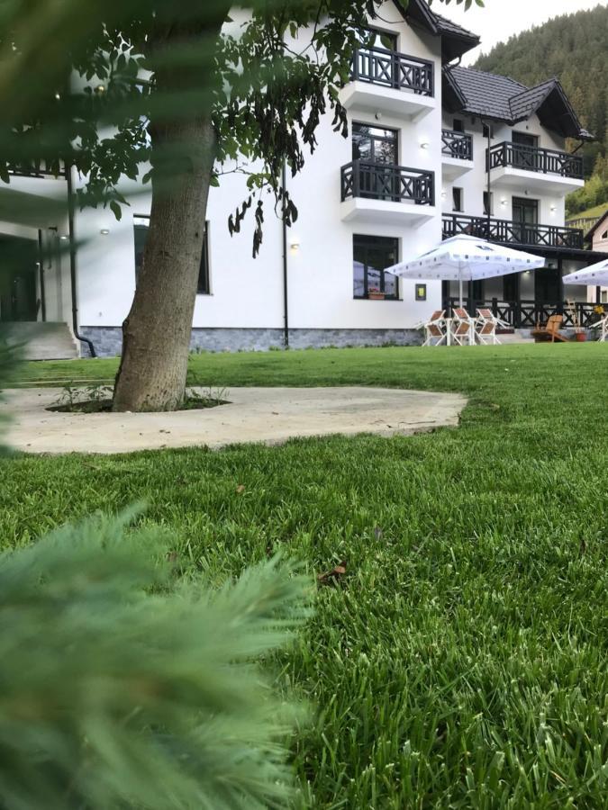 Pensiunea Edelweiss Voineasa Esterno foto